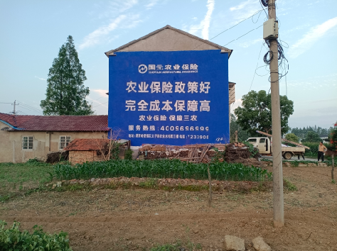 轵城墙体广告为何受追捧？